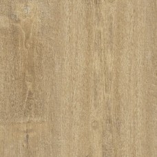 60x60 Woodsense Xt20 Beige Rt - Woodsense XT20 - R7LF з колекції Woodsense XT20