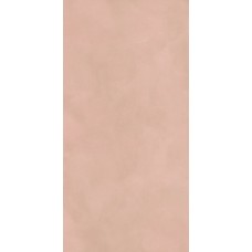 Blossom RTT - 60x120 03C6A30 Allure з колекції Allure Elios Allure