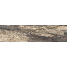 (22.5x90) 924D1R Beige Bark Rett L - Petrified Tree з колекції Petrified Tree Emilceramica (22.5x90) 924D1R Beige Bark Rett L - Petrified Tree з колекції Petrified Tree Emilceramica Petrified Tree Керамічна плитка Emil Ceramica — сторінка 2