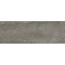 (45x118) Fenix Gris Rec - Fenix з колекції Fenix Fenix Керамічна плитка Fanal