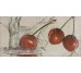 Декор Decor Cherry 10x20 Biselados Bellavista з колекції Biselados Bellavista