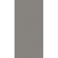 Grey Polished 29.7x59.6 Neo з колекції Neo Urbatek плитка — сторінка 11