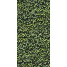 120x240 Arborea A - Limpha - 11560023 з колекції Limpha 120x240 Arborea A - Limpha - 11560023 з колекції Limpha Limpha Керамічна плитка Casalgrande Padana