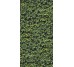 Плитка 120x240 Arborea A - Limpha - 11560023 з колекції Limpha Casalgrande Padana
