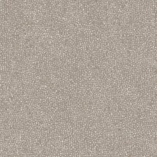 120x120 C36 M8 Y Breccia Braque Lappato Lucido Rett - Tele di Marmo - ED2M з колекції Tele di Marmo Emilceramica TELE DI MARMO Керамічна плитка Emil Ceramica — сторінка 2