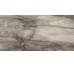 Плитка (30x60) 638D8R Core Grey Panther Rett L - Petrified Tree з колекції Petrified Tree Emilceramica