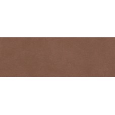 Stratford Wall Red Rt - 40x120 RCPC Stratford Wall з колекції Stratford Wall Stratford Wall Red Rt - 40x120 RCPC Stratford Wall з колекції Stratford Wall Stratford Wall Керамічна плитка Ragno
