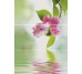 Декор (27х60) DECOR AVRIL-3 (комплект з 3шт) з колекції Hipnotic Novogres