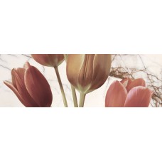 Декор (25x75) Decor Tulip 2 - Финляндия з колекції Финляндия Mallol Испания — страница 4