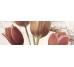 Декор (25x75) Decor Tulip 2 - Finland з колекції Finland Mallol