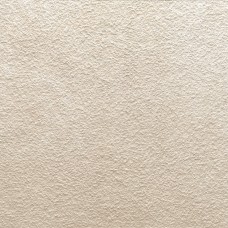 60x60 Sand-Piazen-P6080 из коллекции Piazen PIAZEN Керамическая плитка Aleluia — страница 3