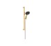 Душовий набір Raindance Alive Select S 3jet EcoSmart 65 см E  Polished Gold Optic (24600990)