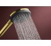 Душовий набір Raindance Alive Select S 3jet EcoSmart 65 см E  Polished Gold Optic (24600990)