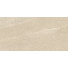 60X120 Eddystone Arena з колекції Eddystone