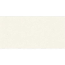 FLORALIA LYS NAT RET - 60x120 PF60008228 Floralia з колекції Floralia Floralia