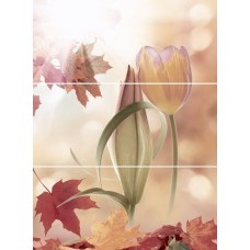 Декор (81x60) Decor Loris-3 - Balma з колекції Balma Balma Керамічна плитка Novogres