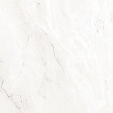 Напольная 59,6x59,6 Bianco Carrara из коллекции Bianco Carrara Напольная 59,6x59,6 Bianco Carrara из коллекции Bianco Carrara Bianco Carrara Floor Керамическая плитка Venis