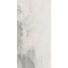 (30x60) PO310 Petrified Wood White - Petrified Wood з колекції Petrified Wood Ascot Petrified Wood Керамическая плитка Ascot Ceramiche