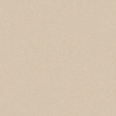 MONOLIGHT EXTERIOR BEIGE R10 RECT. 59,7х59,7 (для підлоги і стін) 9,5 мм MONOLIGHT EXTERIOR BEIGE R10 RECT. 59,7х59,7 (для підлоги і стін) 9,5 мм