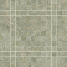 Мозаїка 30x30 Ae. Sage Comp. Fluc - Anima Ever - AFFS з колекції Anima Ever Anima Ever Керамічна плитка Caesar — сторінка 3