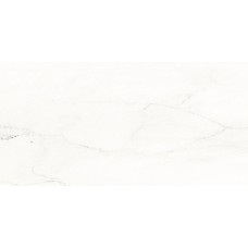 30 x 60 WAKV4233 Vein з колекції Vein