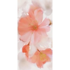 Декор (60x120) SPDI133 Sp. Decoro Sublime - Supreme з колекції Supreme
