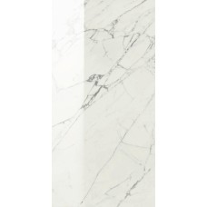 (75x150) ACMZ An. Statu.74X148,5Lp 74x148,5rt - Anima з колекції Anima Anima Керамічна плитка Caesar — сторінка 2