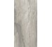 Плитка (49.6x99.5) PO140RL Petrified Wood Grey Rett/Lapp - Petrified Wood з колекції Petrified Wood Ascot
