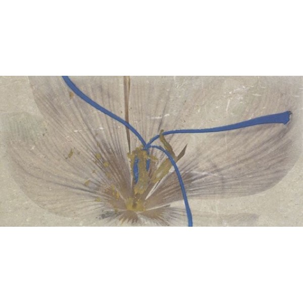 Декор (25х50) DECOR STUDIO NATURAL FLOR з колекції Studio Fanal
