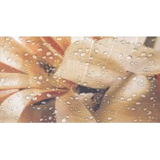Декор (32.5х60) OCEAN CREMA B з колекції Ocean Декор (32.5х60) OCEAN CREMA B з колекції Ocean Ocean Керамічна плитка Fanal