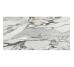 PS3D751501 LILAC PICASSO (1 сорт)