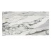 PS3D751501 LILAC PICASSO (1 сорт)