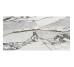PS3D751501 LILAC PICASSO (1 сорт)