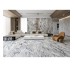 PS3D751501 LILAC PICASSO (1 сорт)