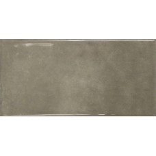 EARTH ASH GLOSS 7.5х15 (настінна) EARTH ASH GLOSS 7.5х15 (настінна)