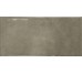 EARTH ASH GLOSS 7.5х15 (плитка настінна)