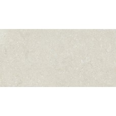 HWD 10 White Rett - 60x120 GCWD10R Wild з колекції Wild Del Conca — керамограніт із Сан-Клементе, історія з 1979 року — сторінка 25