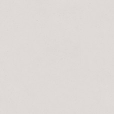 120x120 Palomastone Silver-Palomastone из коллекции Palomastone PALOMASTONE Керамическая плитка Tau — страница 2