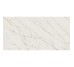 Плитка керамогранітна Elite White RECT POL 598x1198 Paradyz Paradyz