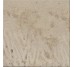 Плитка  - 15x15 Coralina Beige Coralina з колекції Coralina Cobsa