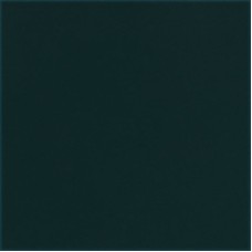 URBAN COLOURS GREEN SCIANA 19.8х19.8 (плитка настінна)