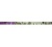 Бордюр Listelo Candles Brillo 5Х73 з колекції Brazil Ceracasa Ceramica