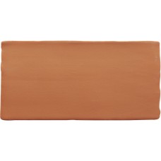 7,5x15 Antic Terracota Mate-Trending Colors из коллекции Trending Colors 7,5x15 Antic Terracota Mate-Trending Colors из коллекции Trending Colors