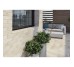 Сходинка пряма Scandiano Ochra 30x30 код 4931 Ceramika Paradyz Paradyz