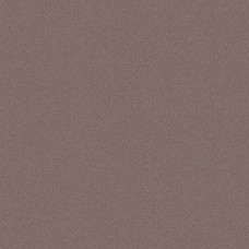 Concrete Berry Street - 60x60 98562 Ec1/22 з колекції Ec1/22