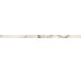 Плінтус GEMSTONE BATT IMP C LUX R - 5.5x120 PF60013673 Gemstone з колекції Gemstone Versace