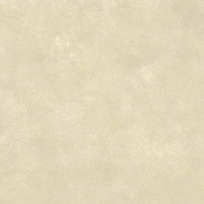 60x60 Omni Bone Soft-Omni-31261382U1 з колекції Omni Omni Керамічна плитка Revigres