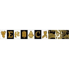 Декор 14,5x19,4 Scr. Bi/Ner/Or - Alphabet - 489040 з колекції Alphabet Alphabet Керамічна плитка Versace — сторінка 3