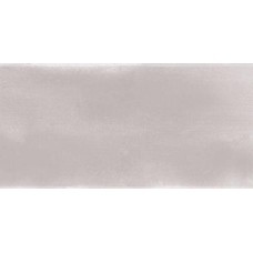 Light Grey 12x24 Dante з колекції Dante