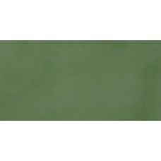 60x120 11460134 R-Evolution Green R-Evolution з колекції R-Evolution R-Evolution Керамічна плитка Casalgrande Padana